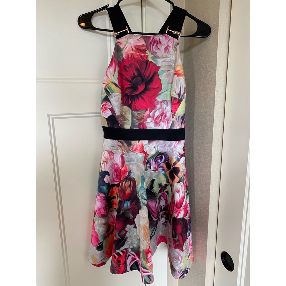 Ted Baker Dress